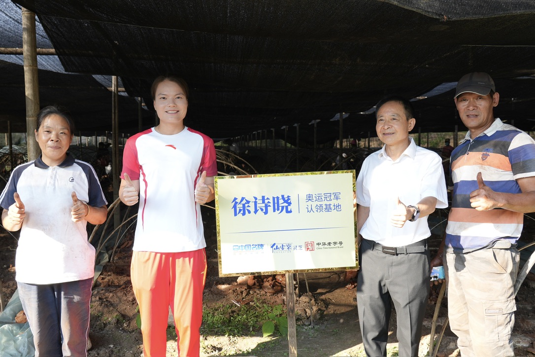 杭州亞運(yùn)會(huì)官方靈芝產(chǎn)品供應(yīng)商|杭州亞運(yùn)會(huì)官方供應(yīng)商|中國靈芝十大品牌|仙客來靈芝|仙客來靈芝破壁孢子粉|仙客來孢子油|仙客來靈芝飲片|仙客來破壁孢子粉|靈芝孢子油|孢子粉|靈芝破壁孢子粉|靈芝|中華老字號