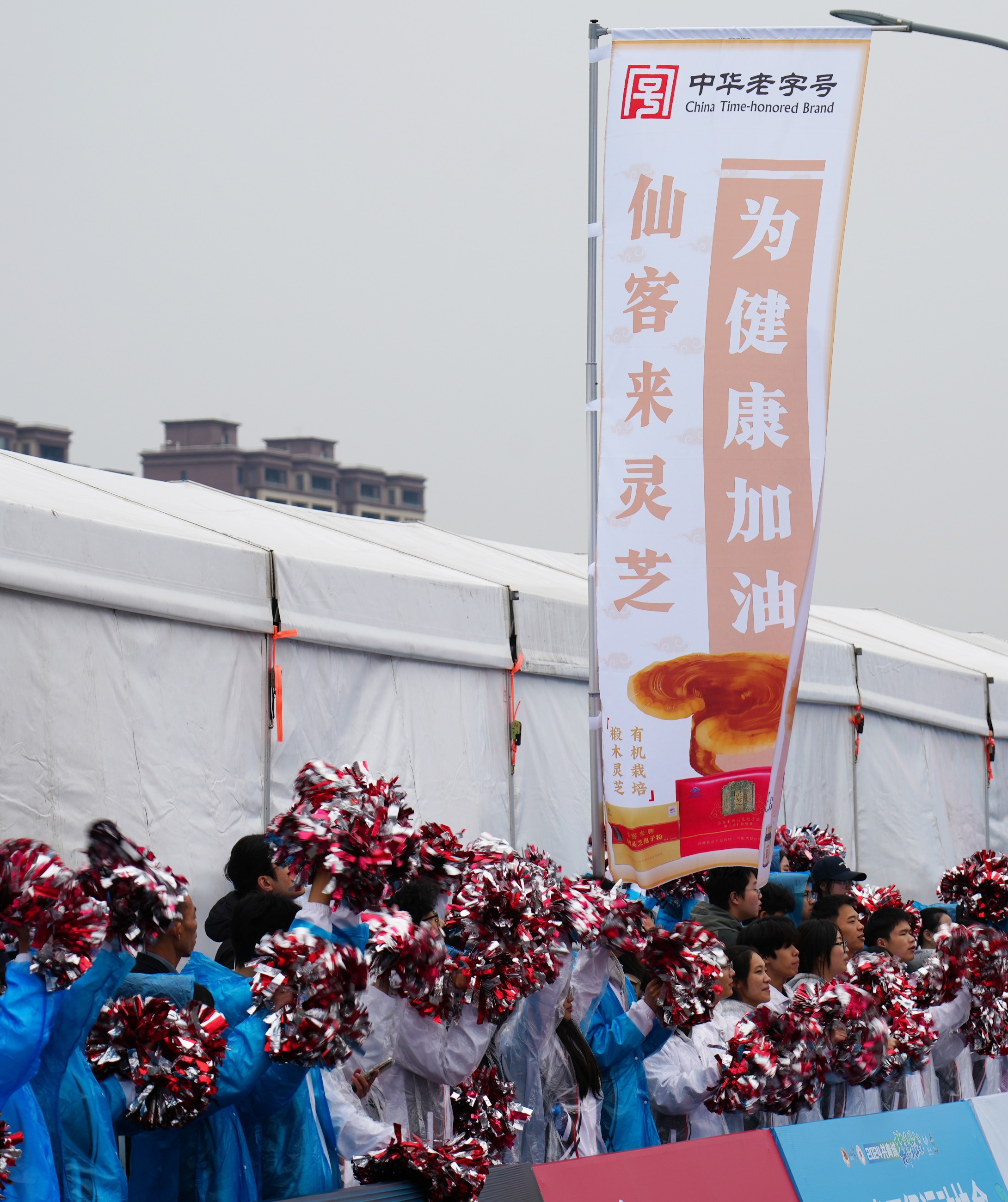 杭州亞運(yùn)會(huì)官方靈芝產(chǎn)品供應(yīng)商|杭州亞運(yùn)會(huì)官方供應(yīng)商|中國(guó)靈芝十大品牌|仙客來靈芝|仙客來靈芝破壁孢子粉|仙客來孢子油|仙客來靈芝飲片|仙客來破壁孢子粉|靈芝孢子油|孢子粉|靈芝破壁孢子粉|靈芝|中華老字號(hào)