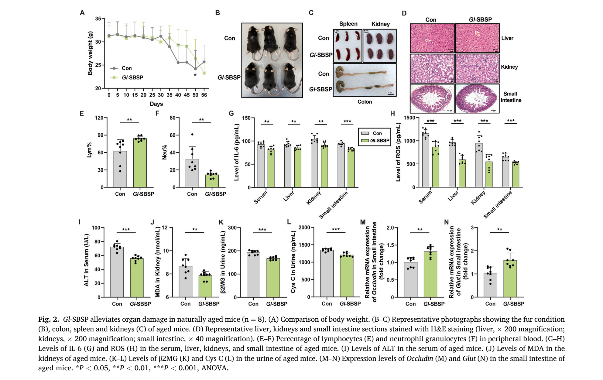 杭州亞運(yùn)會(huì)官方靈芝產(chǎn)品供應(yīng)商|杭州亞運(yùn)會(huì)官方供應(yīng)商|中國(guó)靈芝十大品牌|仙客來(lái)靈芝|仙客來(lái)靈芝破壁孢子粉|仙客來(lái)孢子油|仙客來(lái)靈芝飲片|仙客來(lái)破壁孢子粉|靈芝孢子油|孢子粉|靈芝破壁孢子粉|靈芝|中華老字號(hào)