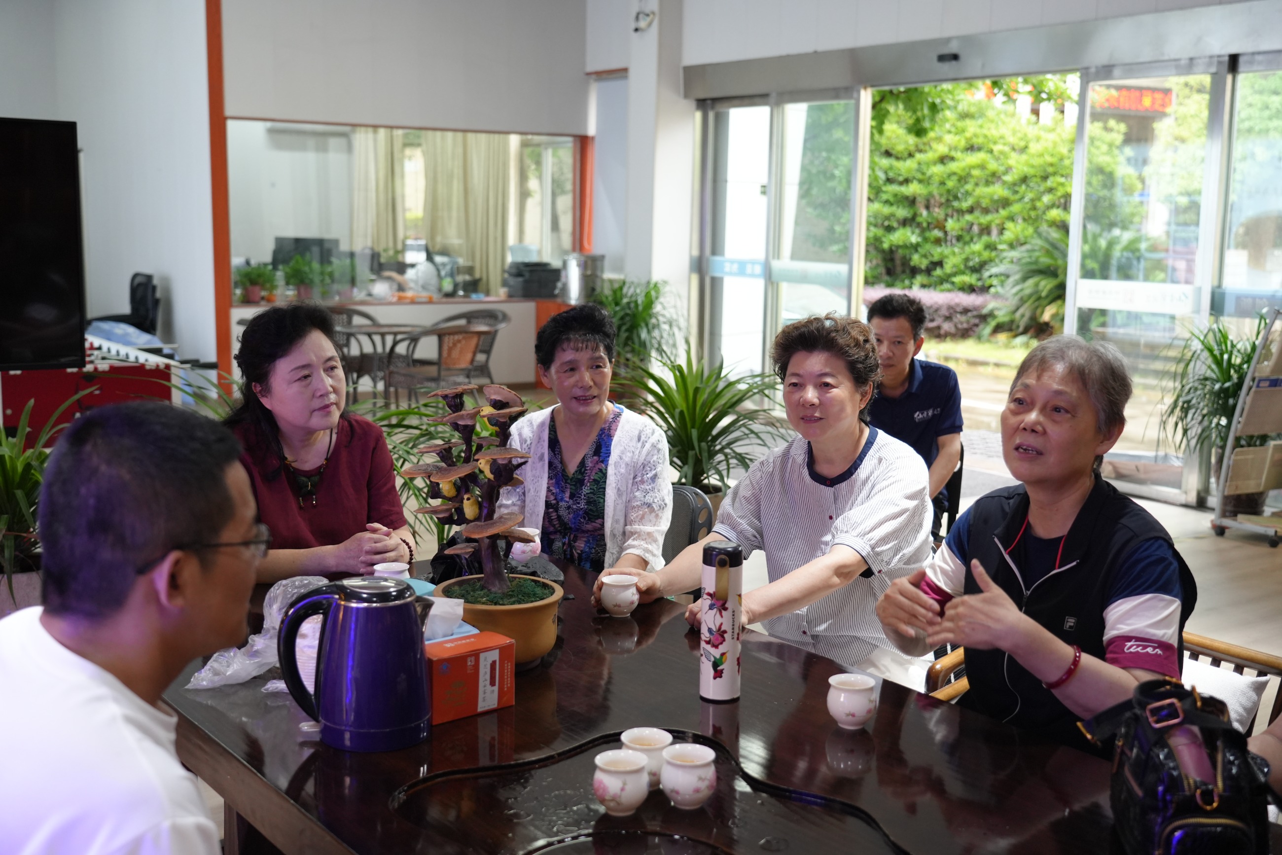 杭州亞運(yùn)會(huì)官方靈芝產(chǎn)品供應(yīng)商|杭州亞運(yùn)會(huì)官方供應(yīng)商|中國(guó)靈芝十大品牌|仙客來(lái)靈芝|仙客來(lái)靈芝破壁孢子粉|仙客來(lái)孢子油|仙客來(lái)靈芝飲片|仙客來(lái)破壁孢子粉|靈芝孢子油|孢子粉|靈芝破壁孢子粉|靈芝|中華老字號(hào)