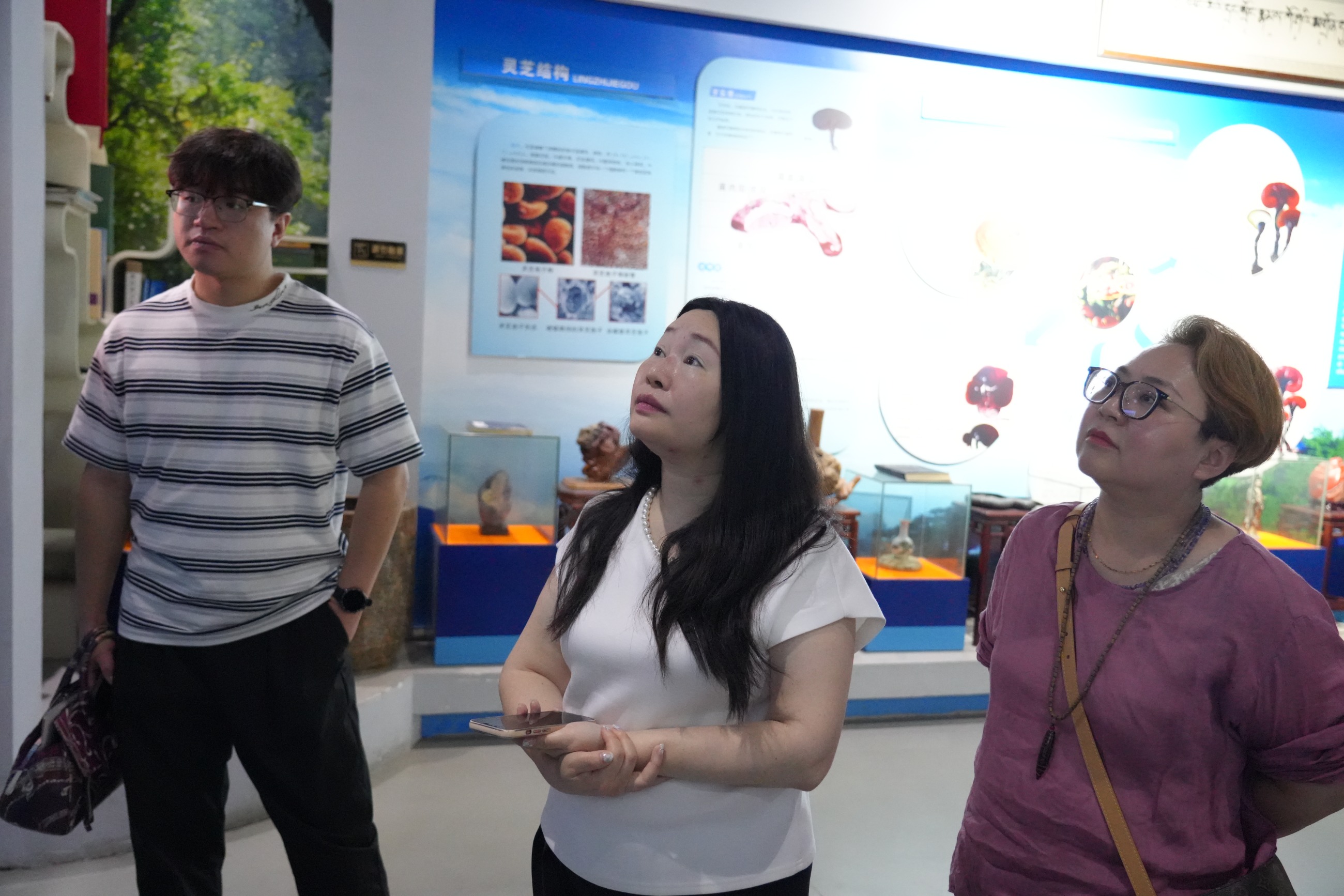 杭州亞運會官方靈芝產(chǎn)品供應(yīng)商|杭州亞運會官方供應(yīng)商|中國靈芝十大品牌|仙客來靈芝|仙客來靈芝破壁孢子粉|仙客來孢子油|仙客來靈芝飲片|仙客來破壁孢子粉|靈芝孢子油|孢子粉|靈芝破壁孢子粉|靈芝|中華老字號