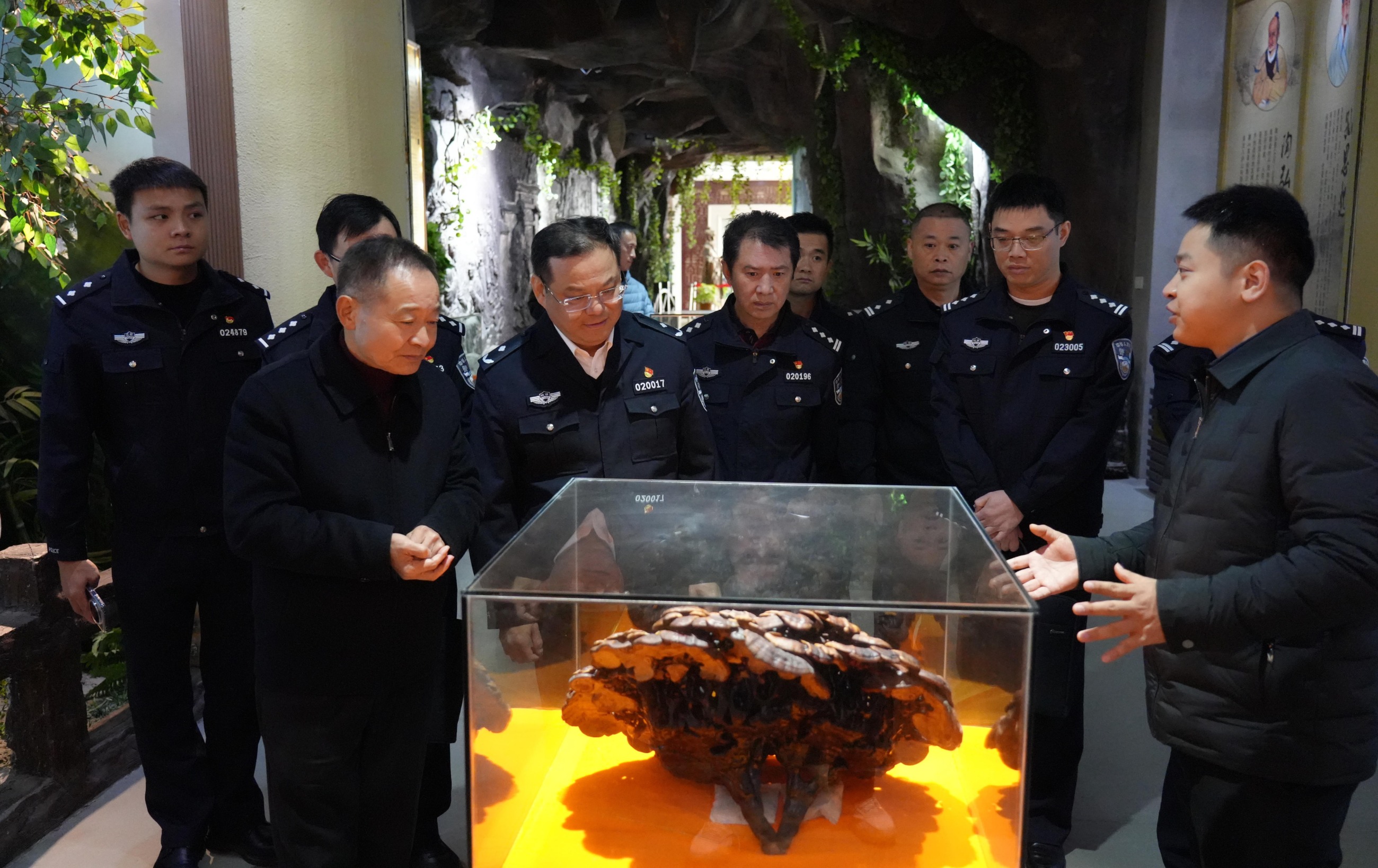 杭州亞運(yùn)會官方靈芝產(chǎn)品供應(yīng)商|杭州亞運(yùn)會官方供應(yīng)商|中國靈芝十大品牌|仙客來靈芝|仙客來靈芝破壁孢子粉|仙客來孢子油|仙客來靈芝飲片|仙客來破壁孢子粉|靈芝孢子油|孢子粉|靈芝破壁孢子粉|靈芝|中華老字號