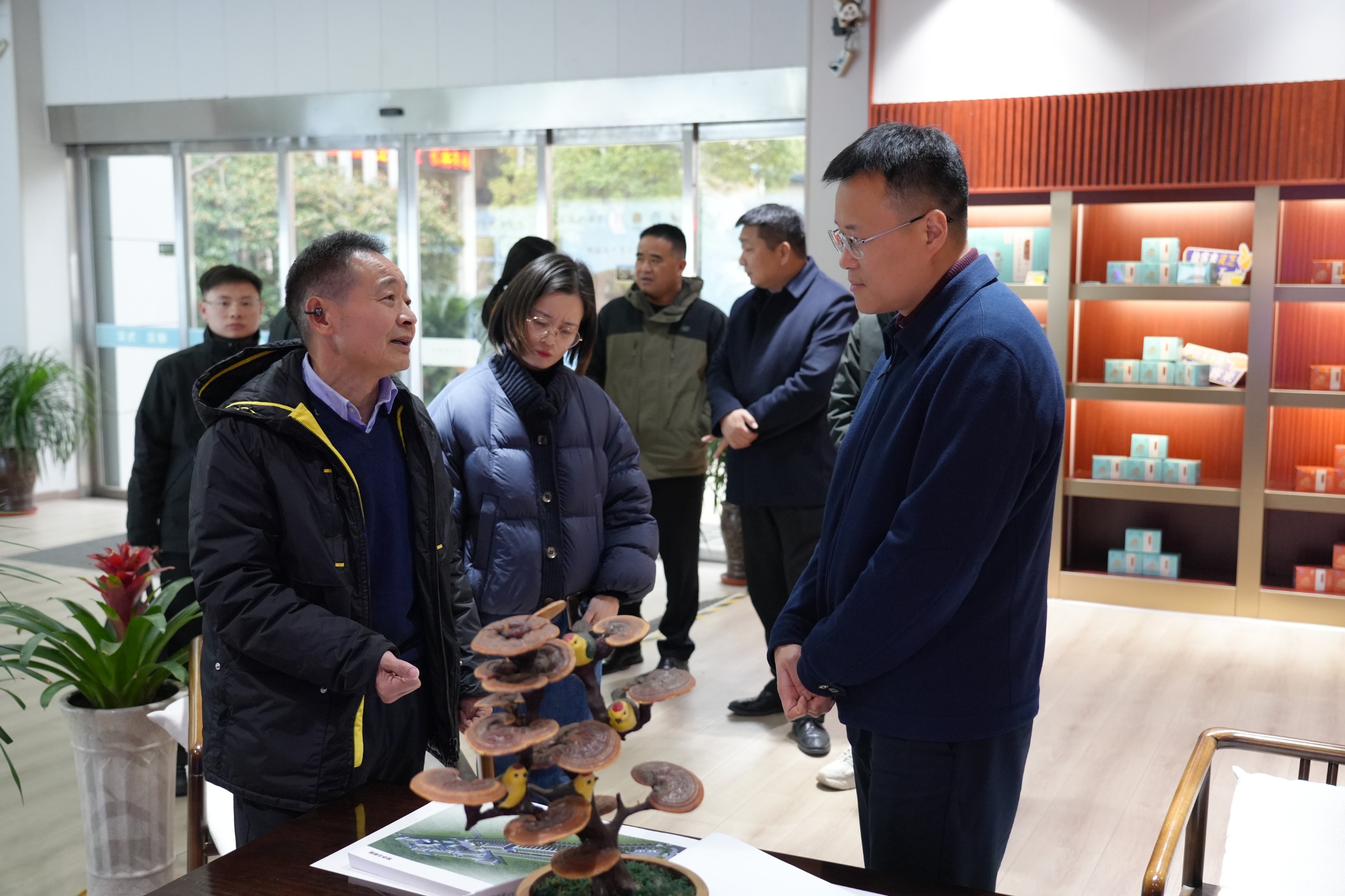 杭州亞運(yùn)會(huì)官方靈芝產(chǎn)品供應(yīng)商|杭州亞運(yùn)會(huì)官方供應(yīng)商|中國(guó)靈芝十大品牌|仙客來(lái)靈芝|仙客來(lái)靈芝破壁孢子粉|仙客來(lái)孢子油|仙客來(lái)靈芝飲片|仙客來(lái)破壁孢子粉|靈芝孢子油|孢子粉|靈芝破壁孢子粉|靈芝|中華老字號(hào)