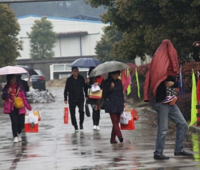 九江暴雨，仙客來“暴游”