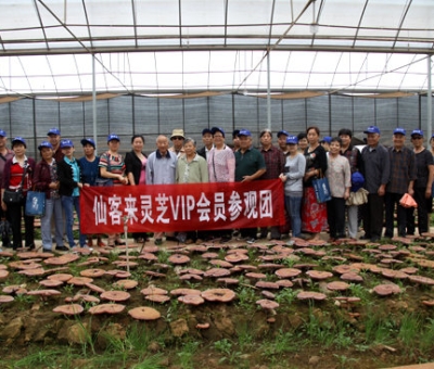 “慶國慶、賀重陽”專家義診活動在仙客來公司隆重舉行