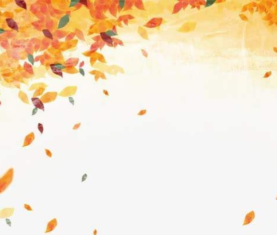 【一葉芝秋】靈芝的這些好處你不得不知