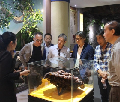 健康“良方”在這！全國(guó)政協(xié)委員、世界著名大學(xué)香港大學(xué) 榮譽(yù)院士孫少文博士蒞臨仙客來(lái)公司參觀考察