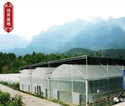 增強(qiáng)免疫力保健食品原料，它排第一