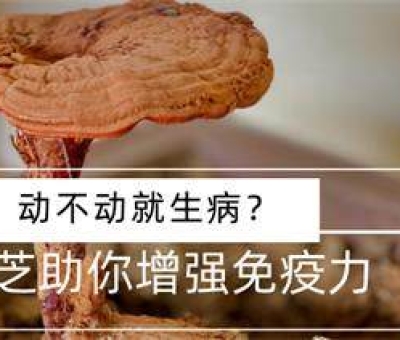 冬病夏治-如何調(diào)養(yǎng)身體？