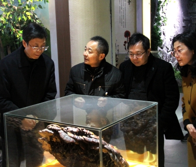 江西省工商聯(lián)副主席鄒常軍深入仙客來公司考察調(diào)研