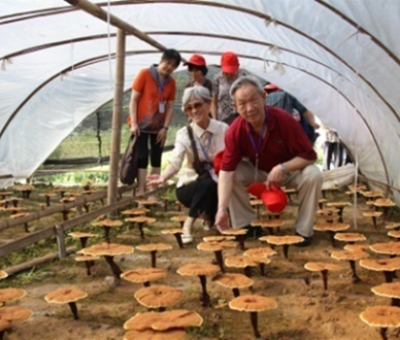 “七一勛章”獲得者張桂梅背后的故事：他們將靈芝磨成粉，送給她拌飯吃，說(shuō)，吃這些能治病