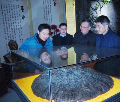 中國農(nóng)業(yè)銀行江西省分行副行長李麒麟一行蒞臨仙客來公司參觀考察